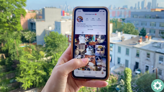 How to download instagram photos from other users