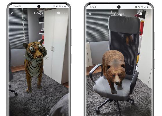 Google 3D Animals: How to Record Them While You See Them