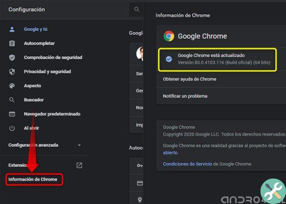 How can I find out which version of Google Chrome I am using?