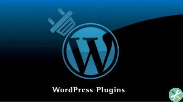 How to insert a hit counter in WordPress - Plugin