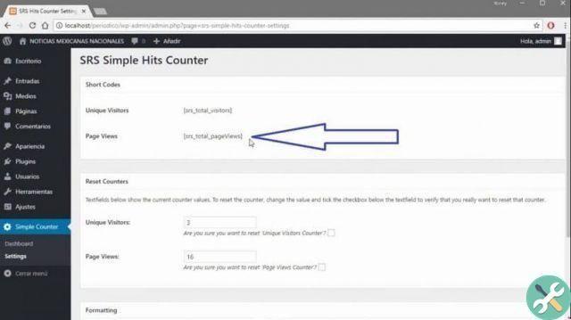 How to insert a hit counter in WordPress - Plugin