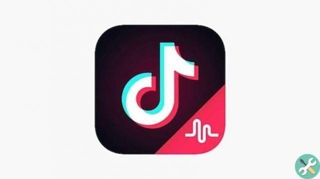 How can I have two Tik Tok accounts?