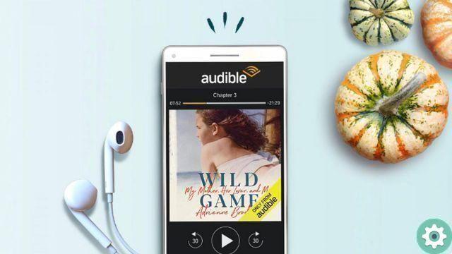 What are the audible credits and how to take them