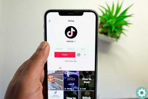 How much money can you earn with the TikTok Bonus?