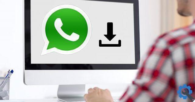 Whatsapp: how to save photos and documents on PC