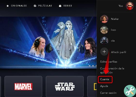 How to change or reset your Disney + password