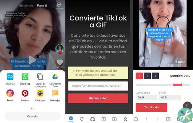 How to convert a Tiktok video to a GIF