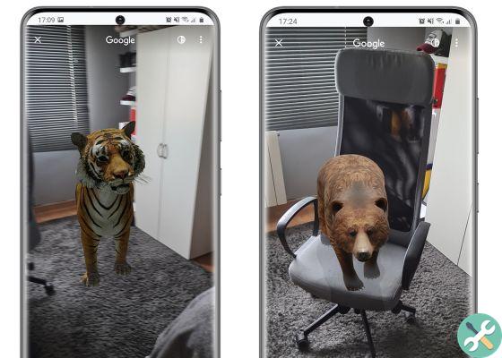 How to see 3D animals with your mobile and augmented reality