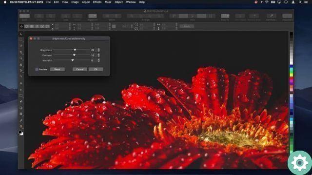 How to print an image or file in Corel Photo-Paint in simple steps