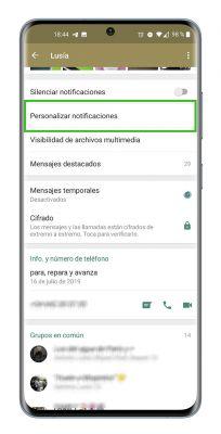 Mute whatsapp calls: 3 methods to do it