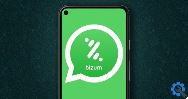 How to create a whatsapp bizum: this is the only way