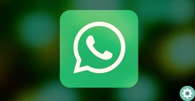 How to put a ghost icon as a WhatsApp icon