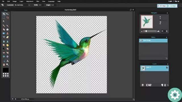 How to use and edit photos in Photoshop without downloading them online for free
