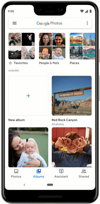 Google photos: what are live albums and how to create them