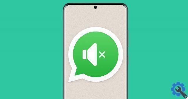 How to mute the audio of a video that will be sent to you by WhatsApp