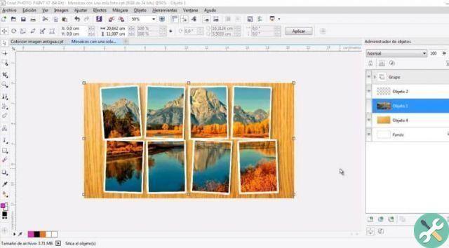 How to create a photo mosaic with a single image with Corel Photo Paint