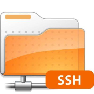 How to remotely connect to an SSH server with PuTTY in Windows?