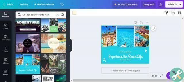 How to create a photo collage using Canva online for free