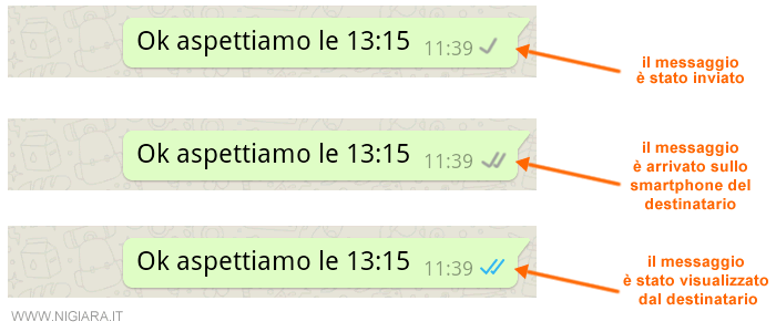 How to know who has read a message in a WhatsApp group