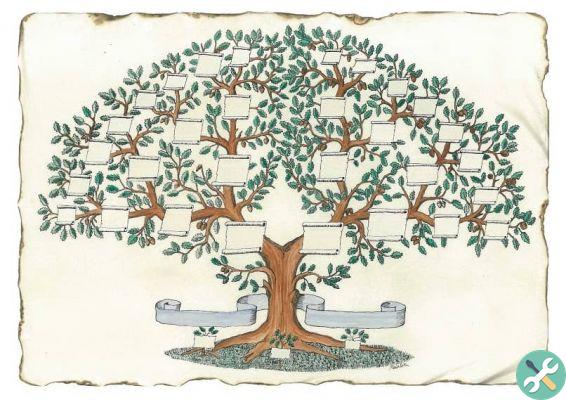 Como criar uma árvore genealógica com modelos gratuitos? - Rápido e fácil