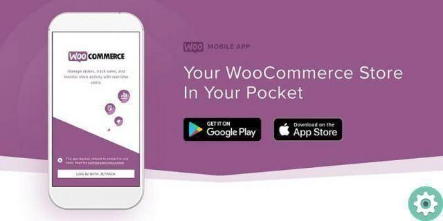 How to customize the product image in a WooCommerce
