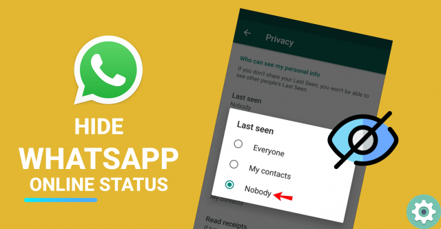 How to Hide ONLINE AND WRITE on WhatsApp