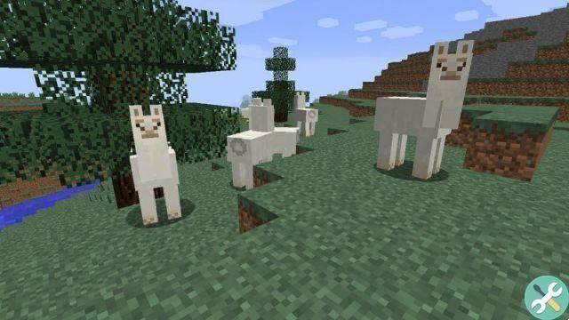 How to tame a horse, parrot, fox, llama and other animals in Minecraft