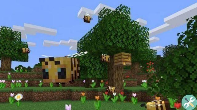 How to create a bee farm that generates honey in Minecraft