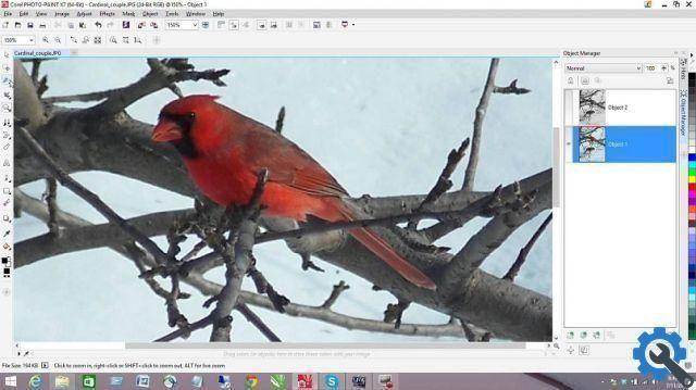 How to create a card image by adding text and shapes with Corel Photo Paint