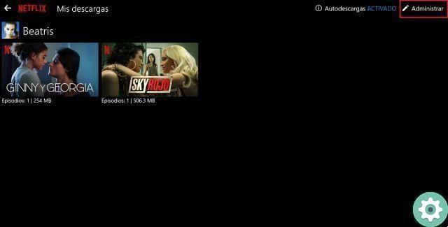 How to download Netflix Series and Movies on PC step by step
