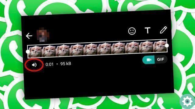 How to send video with mute on whatsapp