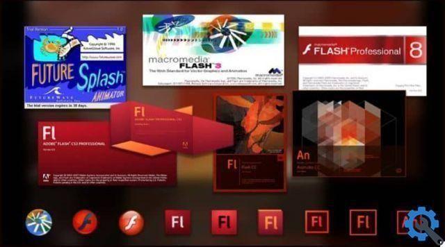 What is Flash animation, what is it for and what types are there?