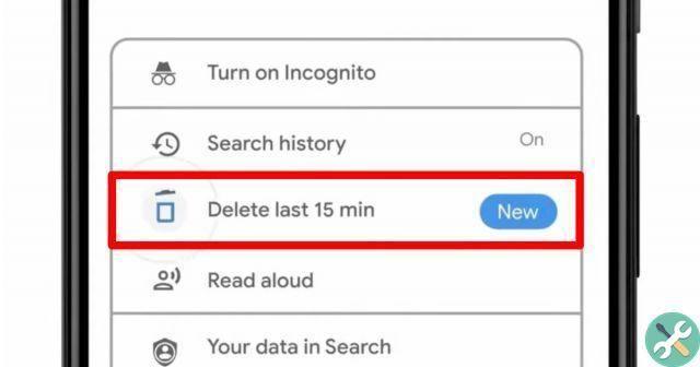 How to delete the last 15 minutes of Google browsing history