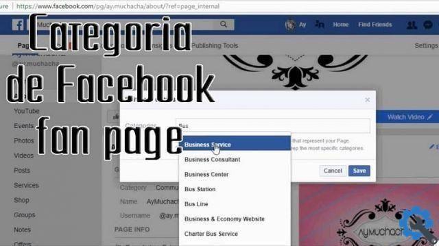 How to change the category of my Facebook fan page?