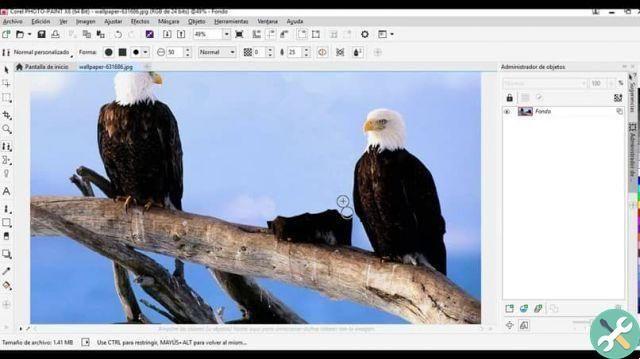 How to create a reflection effect for text using Corel Photo Paint - Step by step