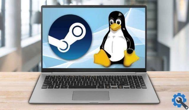 How to install and play Windows games using Steam Play on Linux?