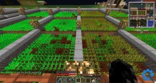 What things can I grow in a Minecraft garden?