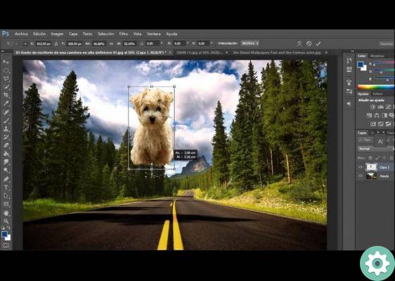 How to make a professional photo montage in Photoshop - Step by step