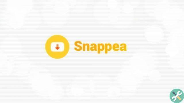 Quick and easy YouTube to MP4 download with Snappea Online
