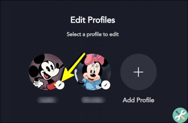 How to disable playback in Disney + and background videos