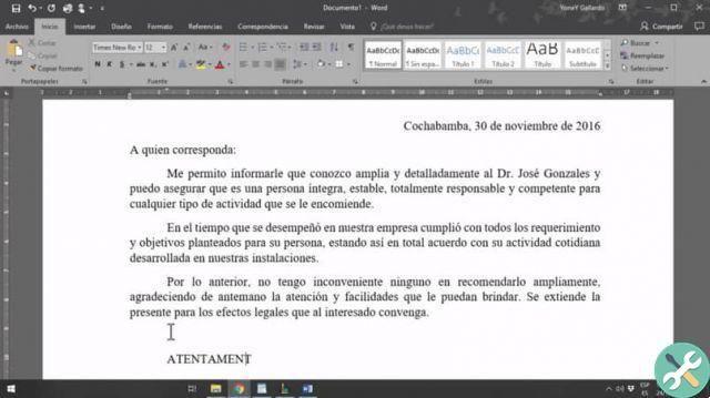 How to Make a Letter of Recommendation in Word - Step by Step