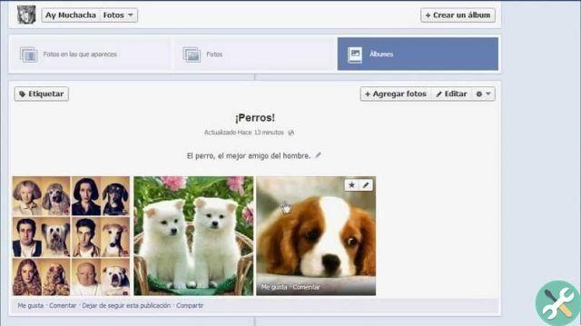 How to change and organize the order of my photos in an album on Facebook