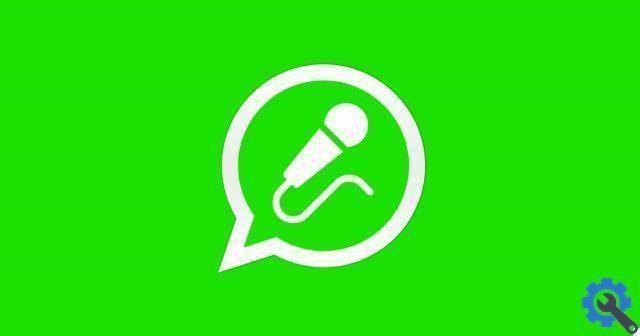 How to change the voice in WhatsApp Audio