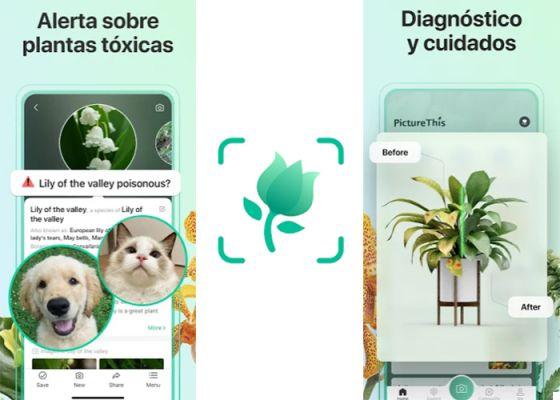 7 good apps to identify medicinal plants with mobile