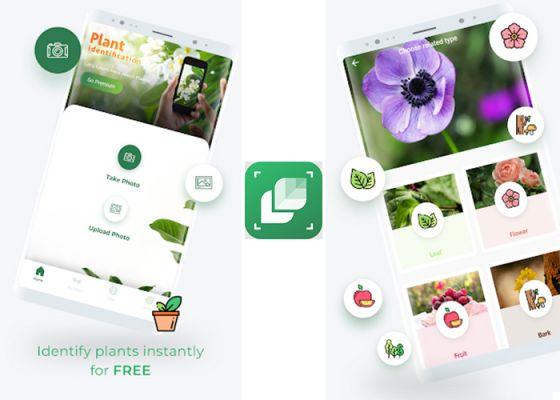 7 good apps to identify medicinal plants with mobile